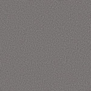 Shaw Floors Retail WITHOUT LIMITS II - 00502 SILVER SPOON