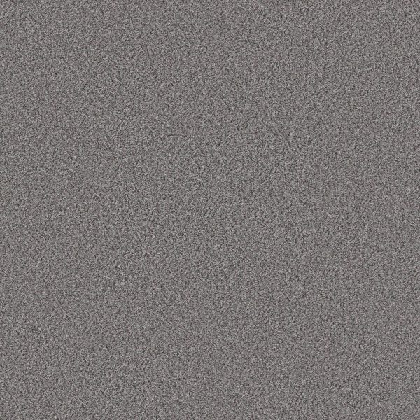 Shaw Floors Retail WITHOUT LIMITS II - 00502 SILVER SPOON