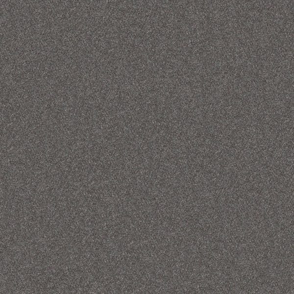 Shaw Floors Retail WITHOUT LIMITS II - 00503 GRANITE