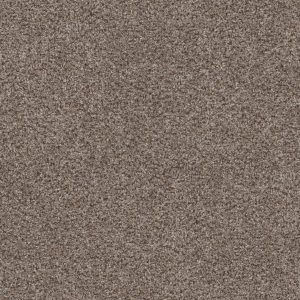 Shaw Floors Retail WITHOUT LIMITS II - 00700 SADDLE TAN