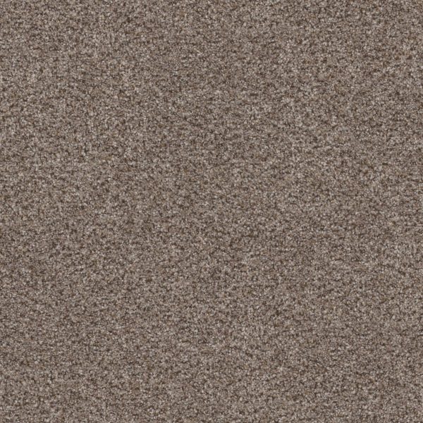 Shaw Floors Retail WITHOUT LIMITS II - 00700 SADDLE TAN