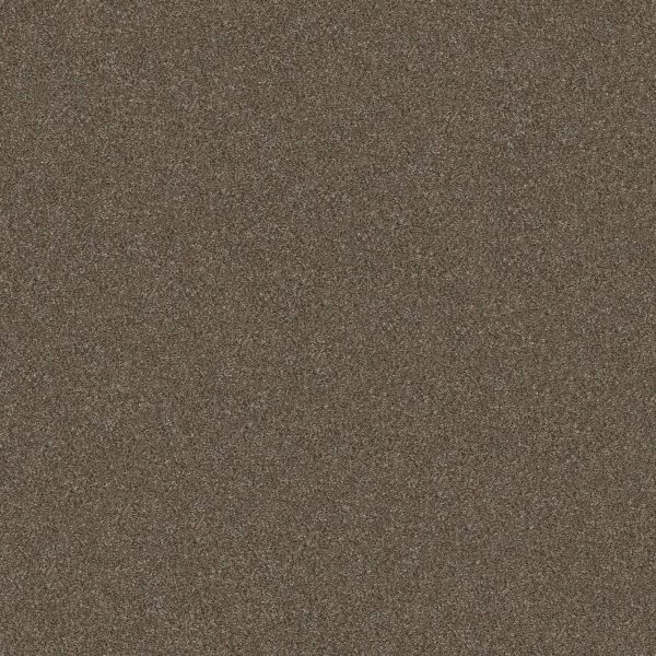 Shaw Floors Retail WITHOUT LIMITS II - 00701 BOUNTIFUL