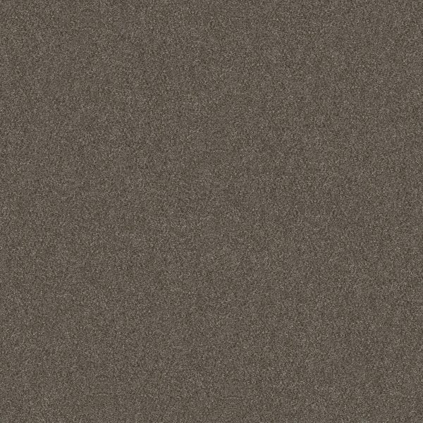 Shaw Floors Retail WITHOUT LIMITS II - 00702 BOARDWALK