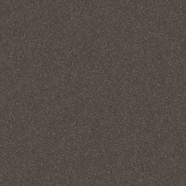 Shaw Floors Retail WITHOUT LIMITS II - 00703 DERBY