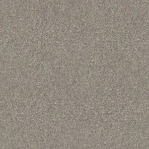 Shaw Floors Retail WITHOUT LIMITS III - 00100 HEATHER