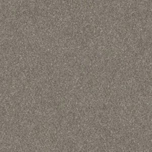 Shaw Floors Retail WITHOUT LIMITS III - 00101 ABALONE