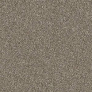 Shaw Floors Retail WITHOUT LIMITS III - 00102 MACADAMIA