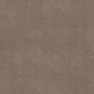 Shaw Floors Retail WITHOUT LIMITS III - 00103 SANDBANK