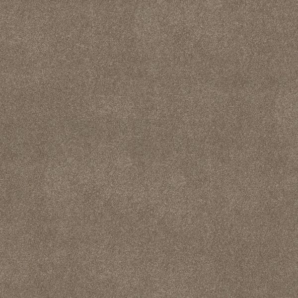 Shaw Floors Retail WITHOUT LIMITS III - 00103 SANDBANK