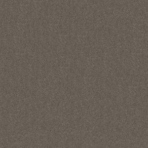 Shaw Floors Retail WITHOUT LIMITS III - 00104 TRAVATAN