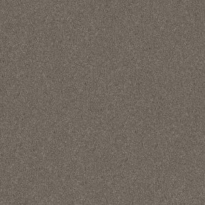 Shaw Floors Retail WITHOUT LIMITS III - 00105 MISTY MICA