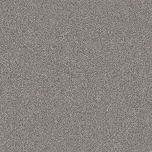 Shaw Floors Retail WITHOUT LIMITS III - 00500 STAINLESS