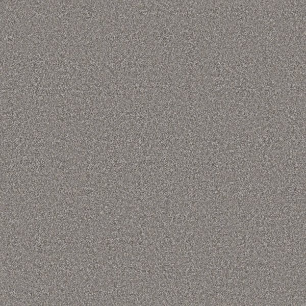 Shaw Floors Retail WITHOUT LIMITS III - 00500 STAINLESS