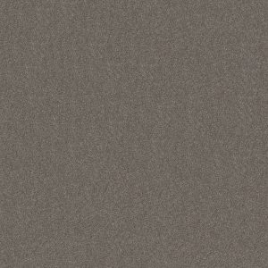 Shaw Floors Retail WITHOUT LIMITS III - 00501 TUNDRA