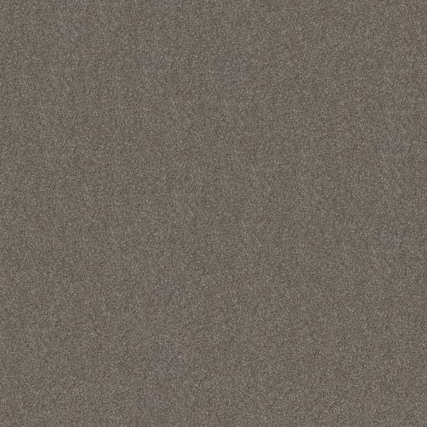 Shaw Floors Retail WITHOUT LIMITS III - 00501 TUNDRA