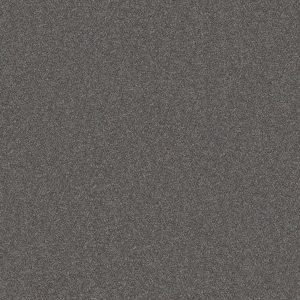Shaw Floors Retail WITHOUT LIMITS III - 00503 GRANITE