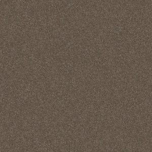 Shaw Floors Retail WITHOUT LIMITS III - 00701 BOUNTIFUL