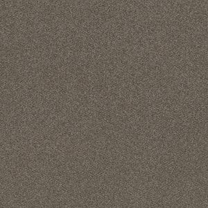 Shaw Floors Retail WITHOUT LIMITS III - 00702 BOARDWALK