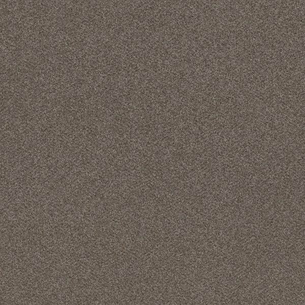 Shaw Floors Retail WITHOUT LIMITS III - 00702 BOARDWALK