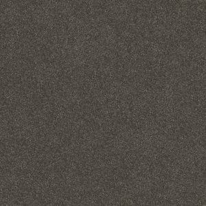 Shaw Floors Retail WITHOUT LIMITS III - 00703 DERBY