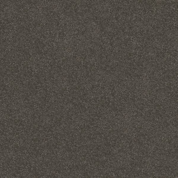 Shaw Floors Retail WITHOUT LIMITS III - 00703 DERBY
