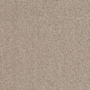 Shaw Floors Value WORK IT OUT - 00100 WHITEWASH