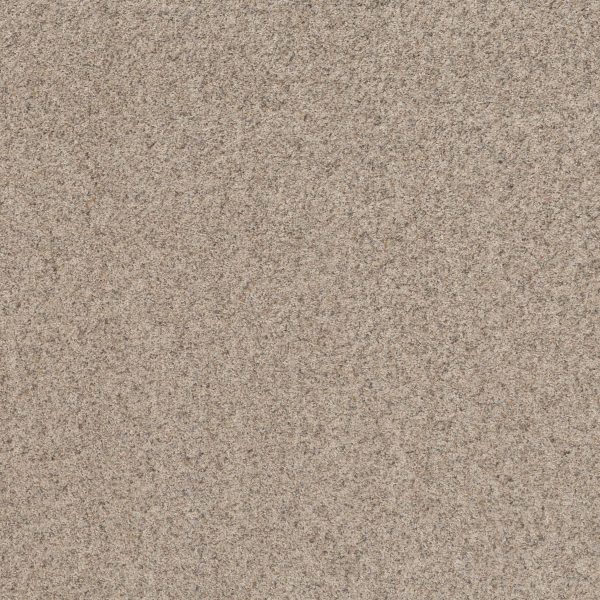 Shaw Floors Value WORK IT OUT - 00100 WHITEWASH