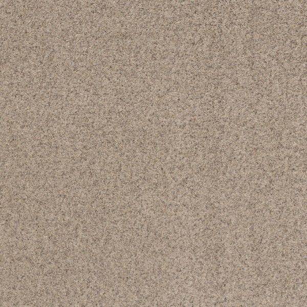Shaw Floors Value WORK IT OUT - 00101 SHELL ISLAND