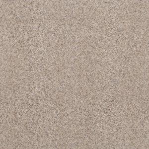 Shaw Floors Value WORK IT OUT - 00105 RELIABLE BEIGE