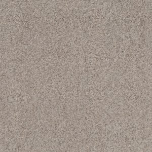 Shaw Floors Value WORK IT OUT - 00106 PERFECT GREIGE