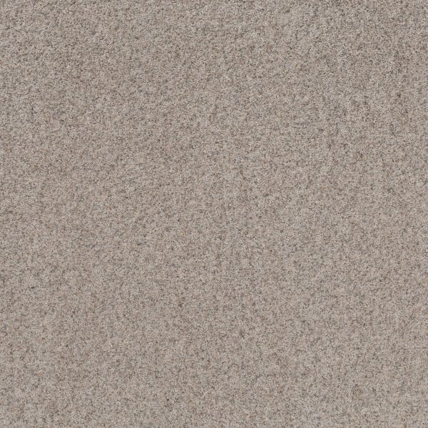 Shaw Floors Value WORK IT OUT - 00106 PERFECT GREIGE