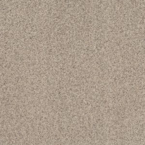 Shaw Floors Value WORK IT OUT - 00155 MOONWALK
