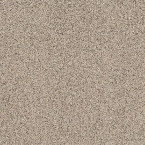 Shaw Floors Value WORK IT OUT - 00155 MOONWALK