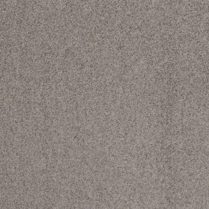 Shaw Floors Value WORK IT OUT - 00500 TOUCH OF GRAY