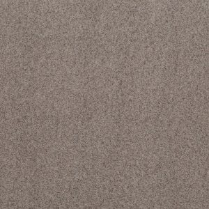 Shaw Floors Value WORK IT OUT - 00501 PEWTER TAUPE