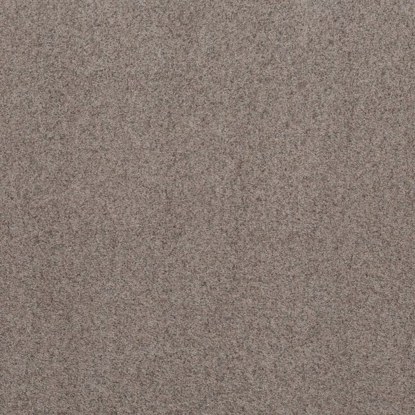 Shaw Floors Value WORK IT OUT - 00501 PEWTER TAUPE