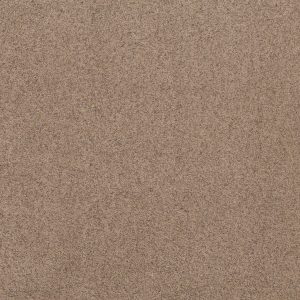 Shaw Floors Value WORK IT OUT - 00700 PEBBLE