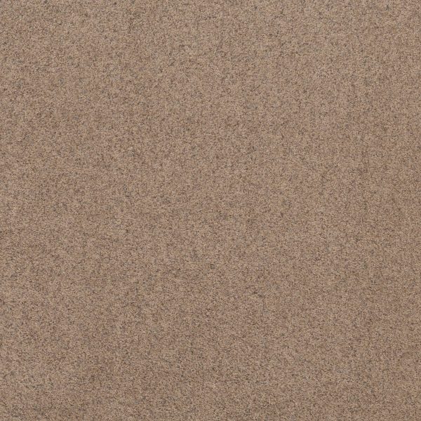 Shaw Floors Value WORK IT OUT - 00700 PEBBLE
