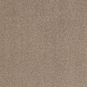 Shaw Floors Value WORK IT OUT - 00702 SWEET TEA