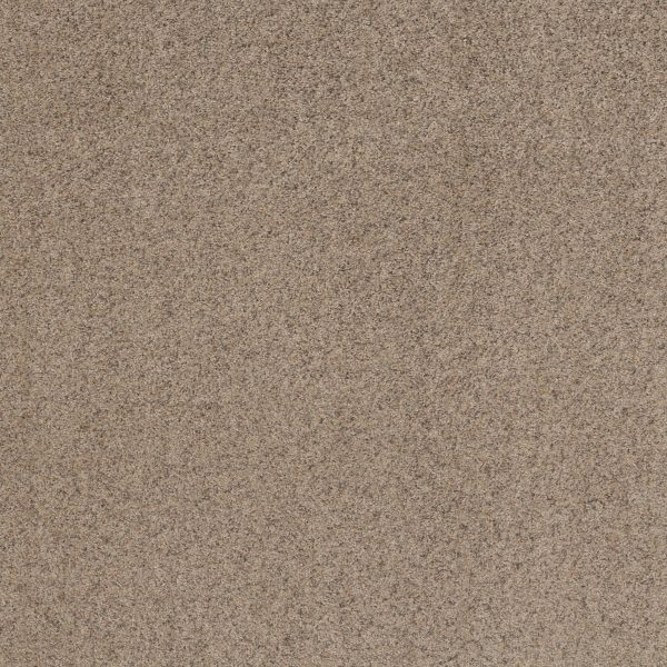 Shaw Floors Value WORK IT OUT - 00702 SWEET TEA
