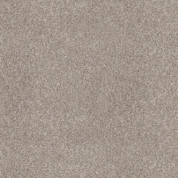 Shaw Floors Retail TENACIOUS WIN - 00105 DAYTONA SAND