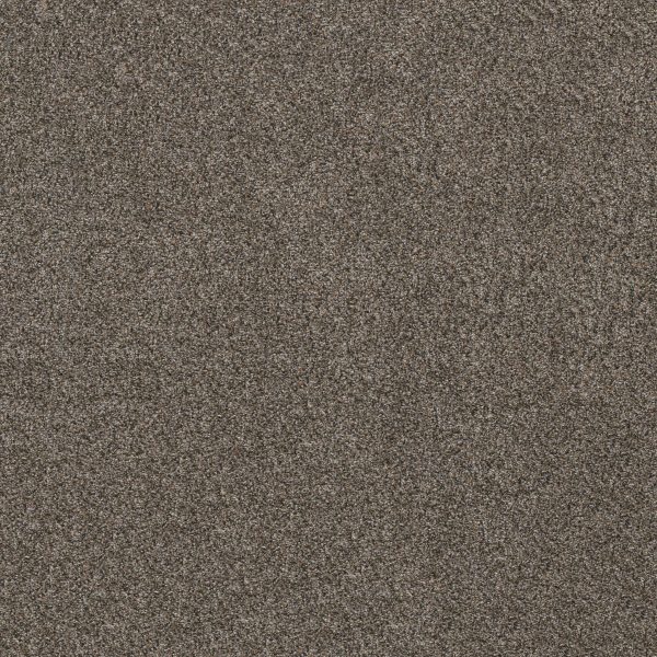 Shaw Floors Retail TENACIOUS WIN - 00706 TREE BARK