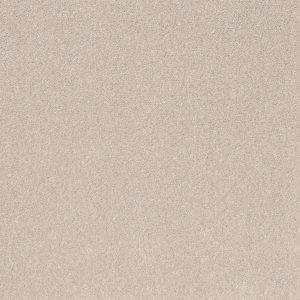 Shaw Floors Retail SMOOTH TALK I - 00100 HALO