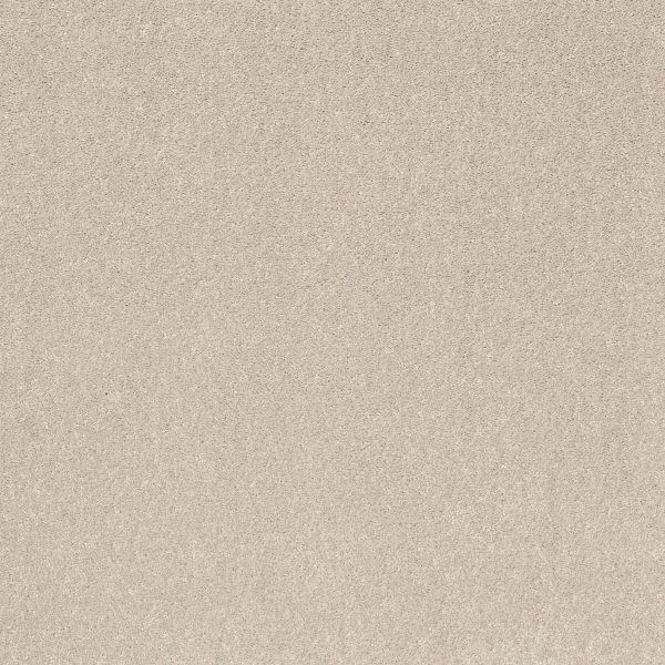 Shaw Floors Retail SMOOTH TALK I - 00100 HALO