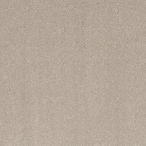 Shaw Floors Retail SMOOTH TALK I - 00105 BARE MINERAL