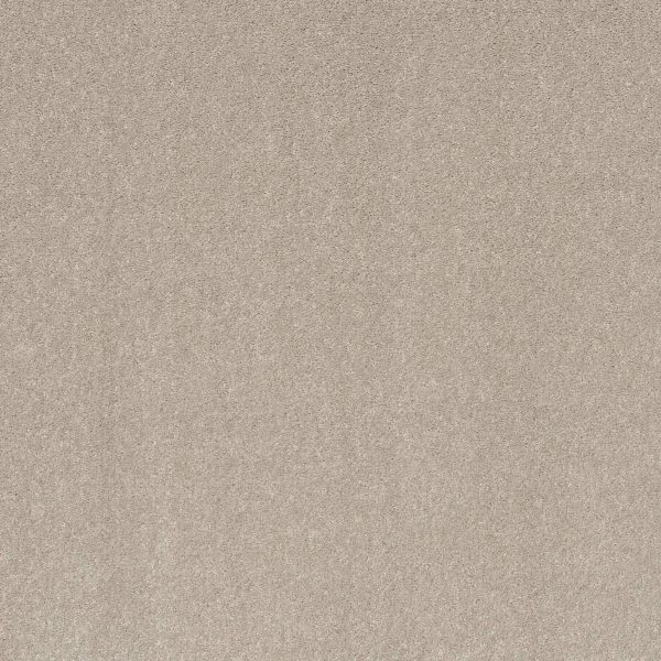 Shaw Floors Retail SMOOTH TALK I - 00105 BARE MINERAL