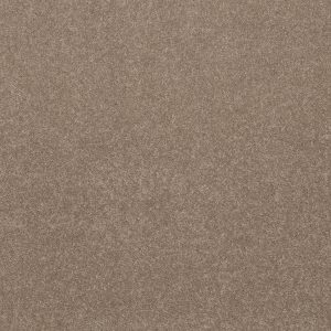 Shaw Floors Retail SMOOTH TALK I - 00201 WARM WOOD