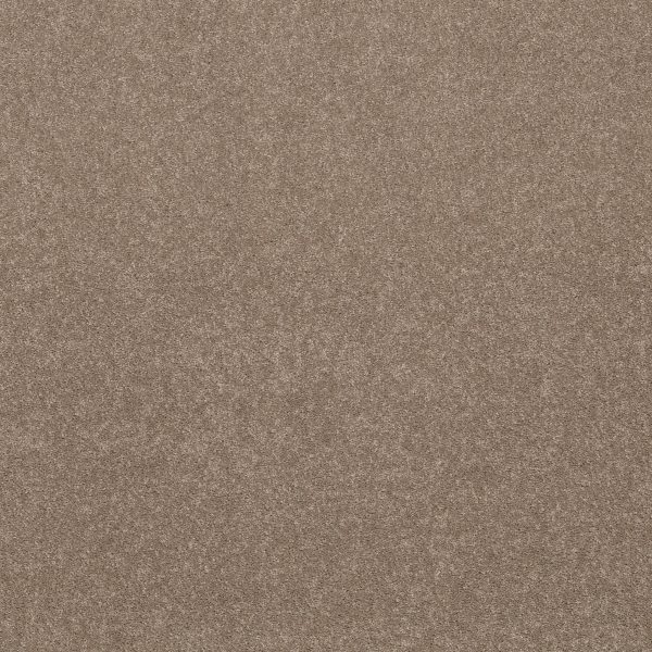 Shaw Floors Retail SMOOTH TALK I - 00201 WARM WOOD