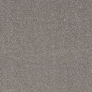 Shaw Floors Retail SMOOTH TALK I - 00501 INK SPOT