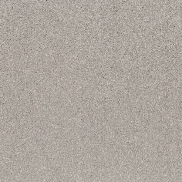 Shaw Floors Retail SMOOTH TALK I - 00540 SILVER MIST